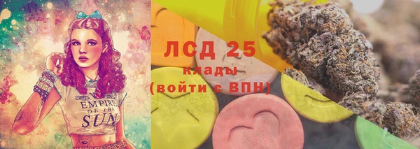 спайс Алзамай