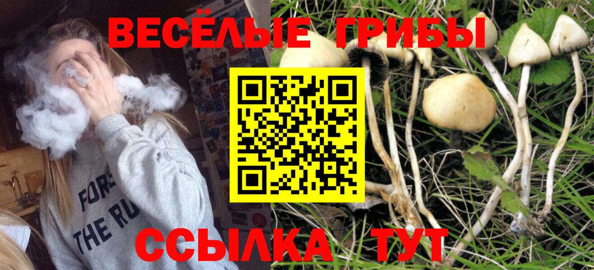 Тайшет  Галлюциногенные грибы ЛСД  Вход с VPN 