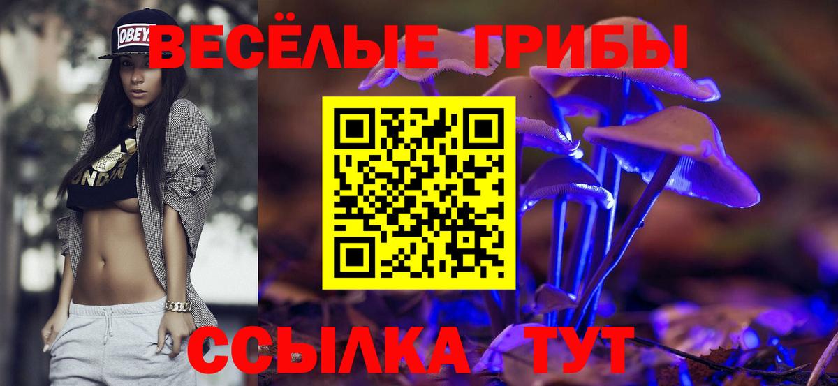 Псилоцибиновые грибы Cubensis Тайшет
